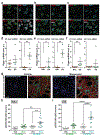 Fig.3: