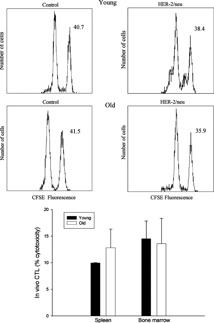 Fig. 6