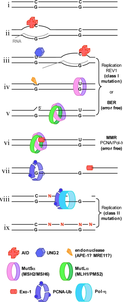 Fig. 4.