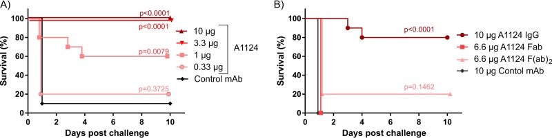 FIG 6