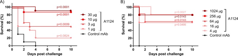 FIG 7