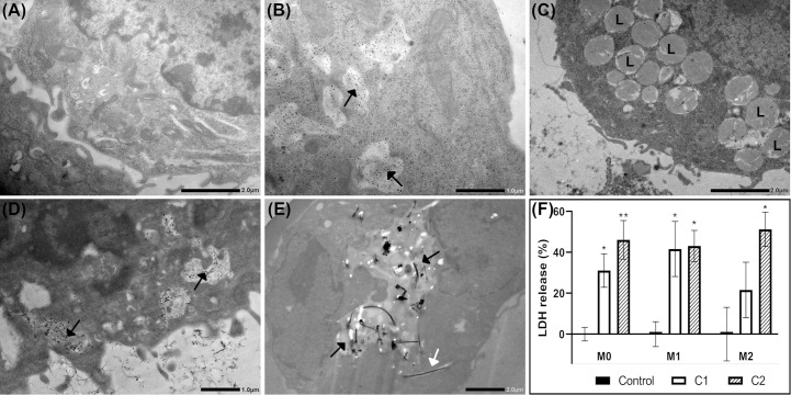 Figure 2