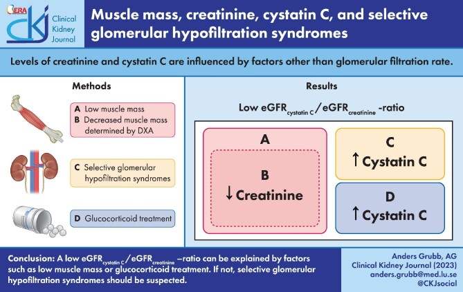 Graphical Abstract