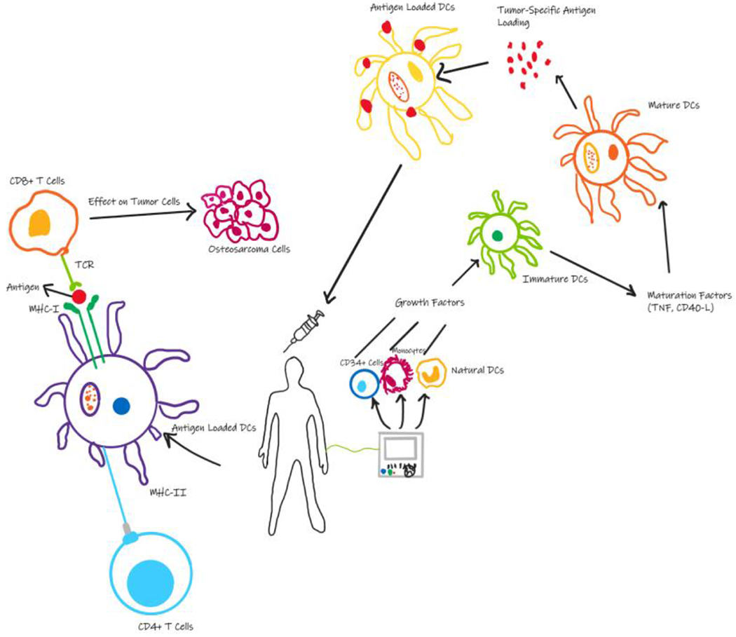 Figure 2: