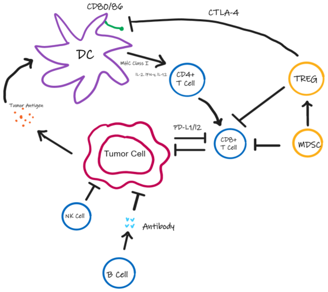 Figure 1: