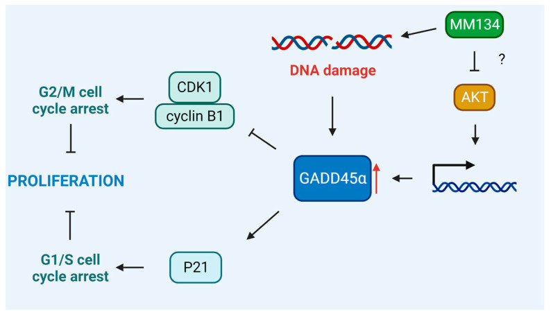 Figure 13