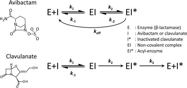 FIG 1