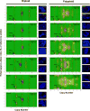 Extended Data Figure 2