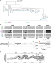 Extended Data Figure 9