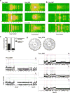 Extended Data Figure 6