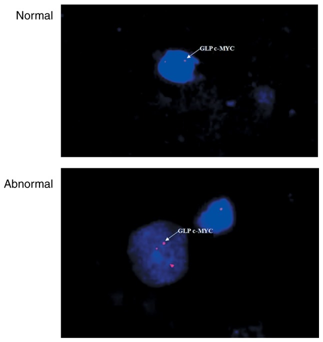 Figure 2.