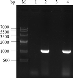 Fig. 7