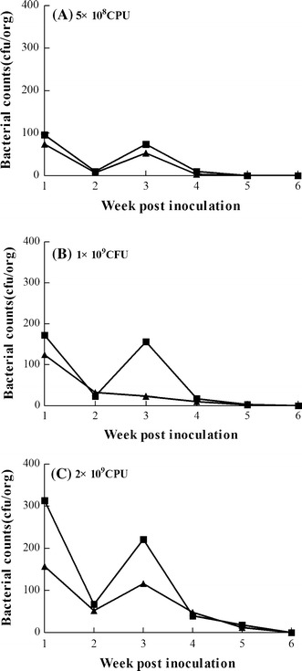 Fig. 6