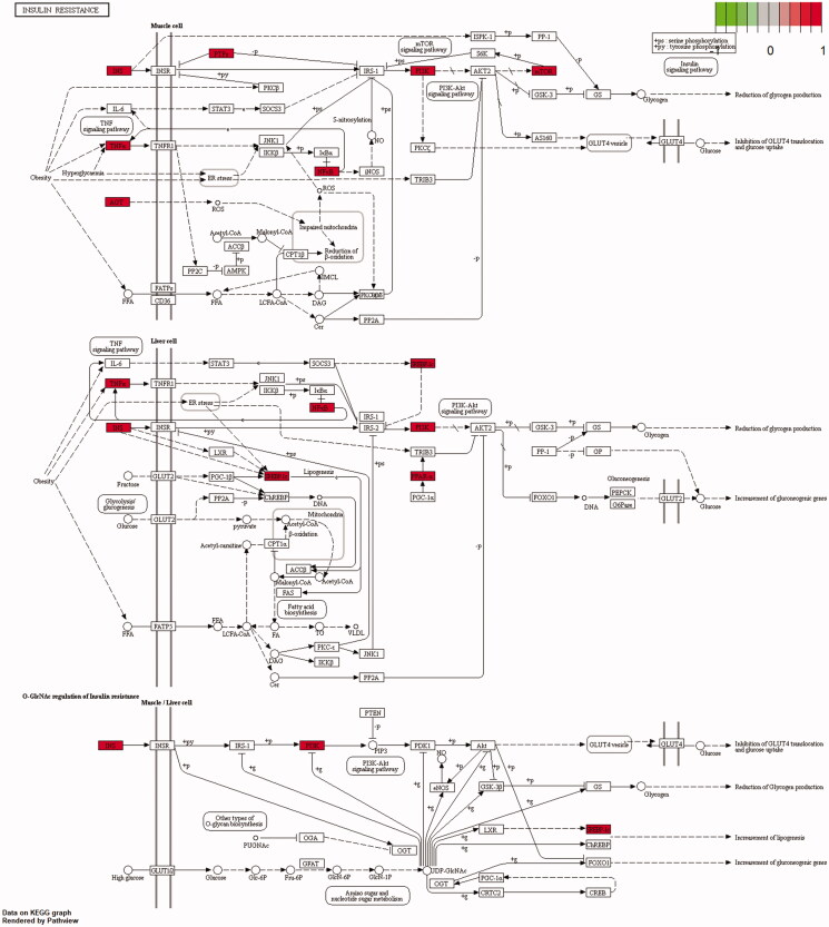 Figure 10.