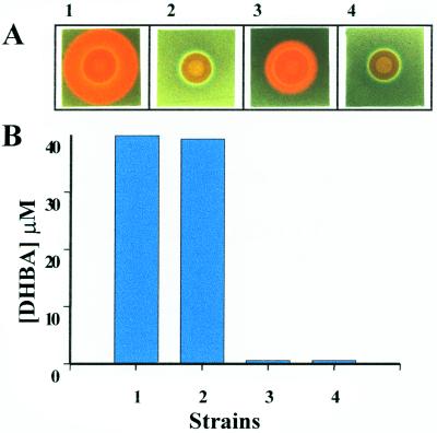 FIG. 7