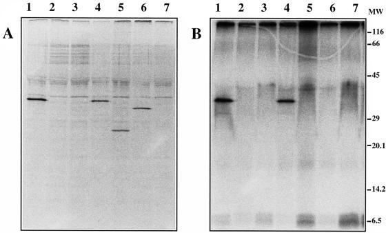 FIG. 8