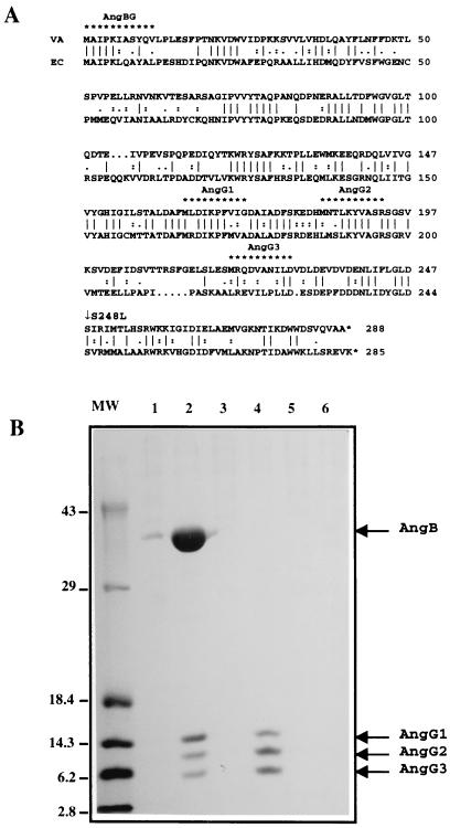 FIG. 6