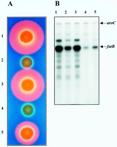 FIG. 9