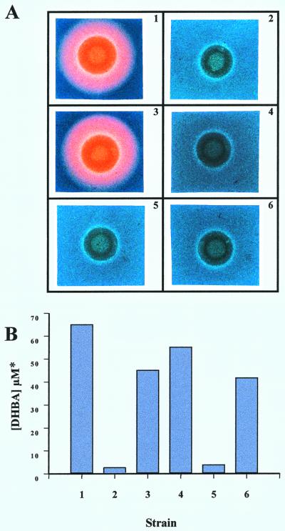 FIG. 4