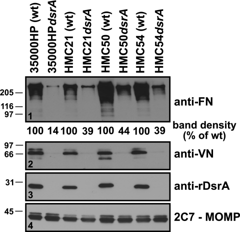 FIG. 5.