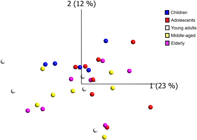 Fig 2