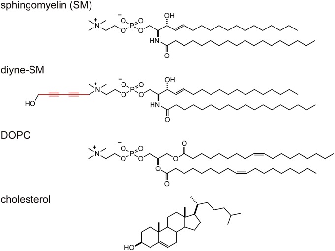 Fig. 1.