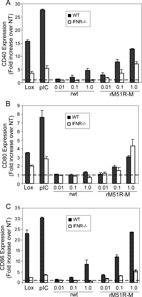 FIG. 7.