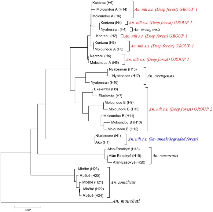 Figure 5