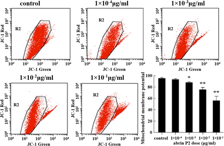 Figure 5.