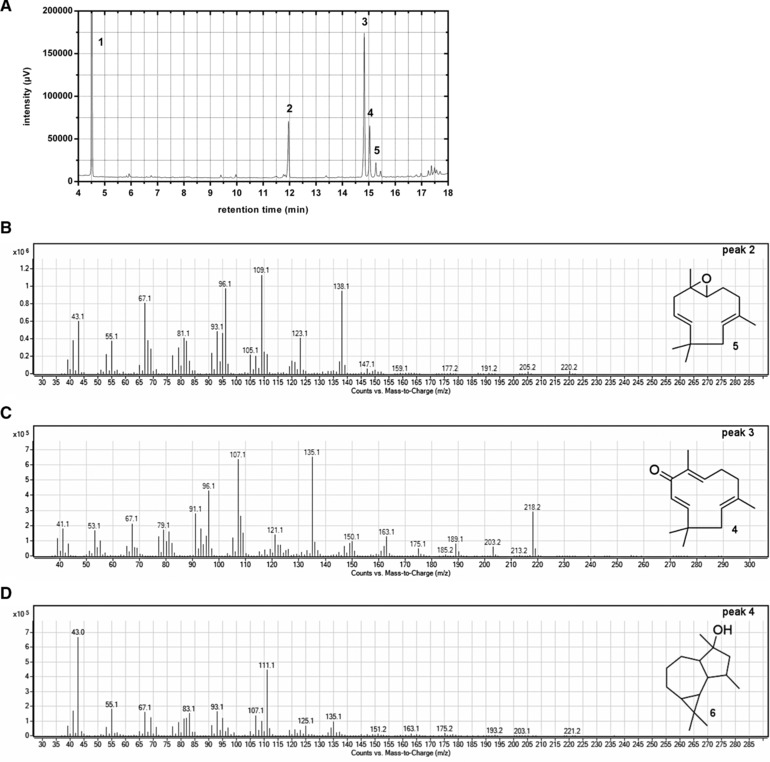 Figure 5