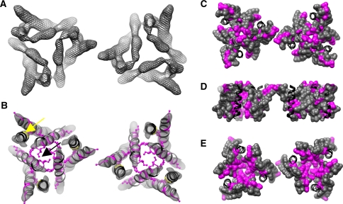 Fig. 3