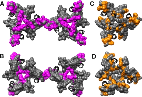 Fig. 4