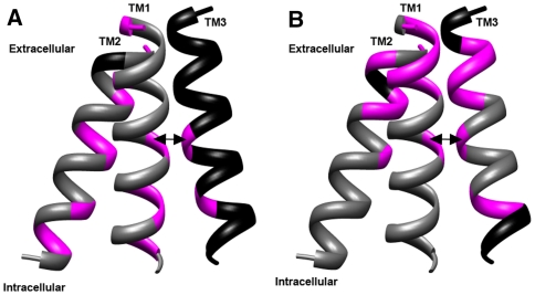 Fig. 5