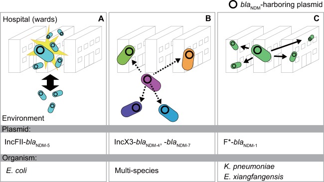 FIG 6