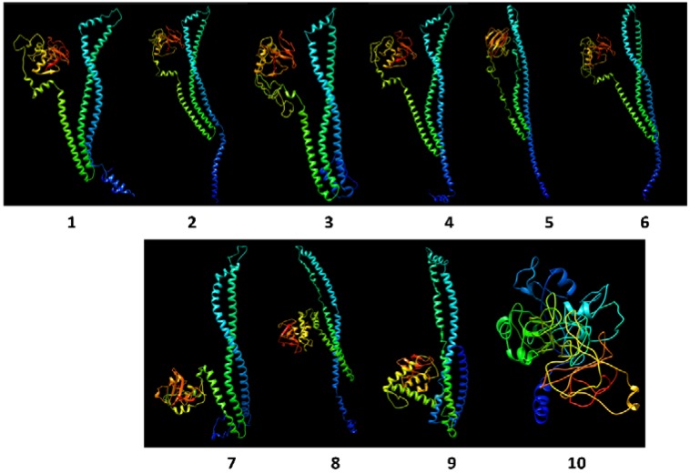 Figure 6