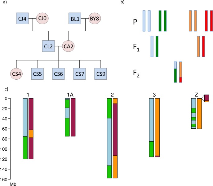 Fig 1