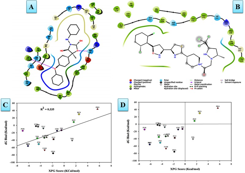 FIGURE 11