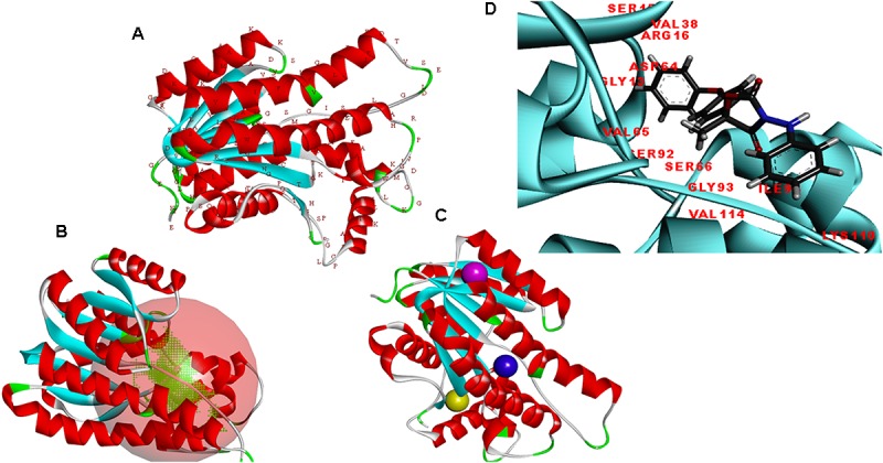 FIGURE 5