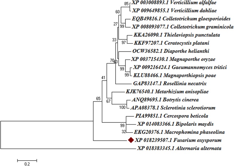 FIGURE 2