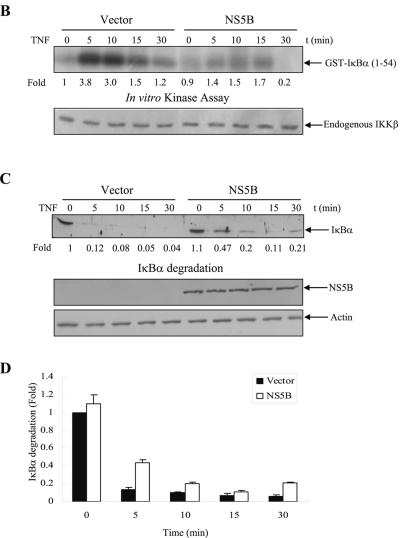 FIG.1.