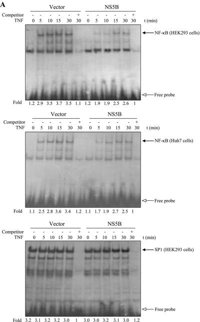 FIG.1.