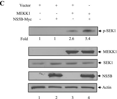 FIG.6.