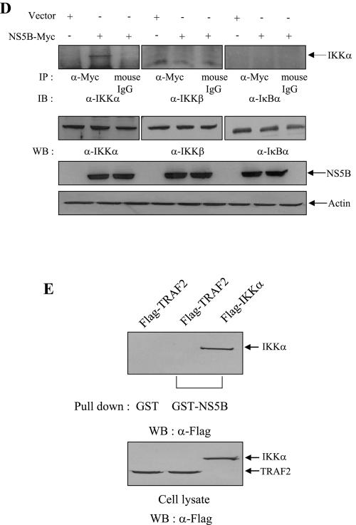 FIG.3.