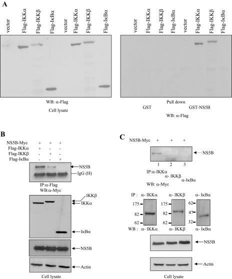 FIG.3.