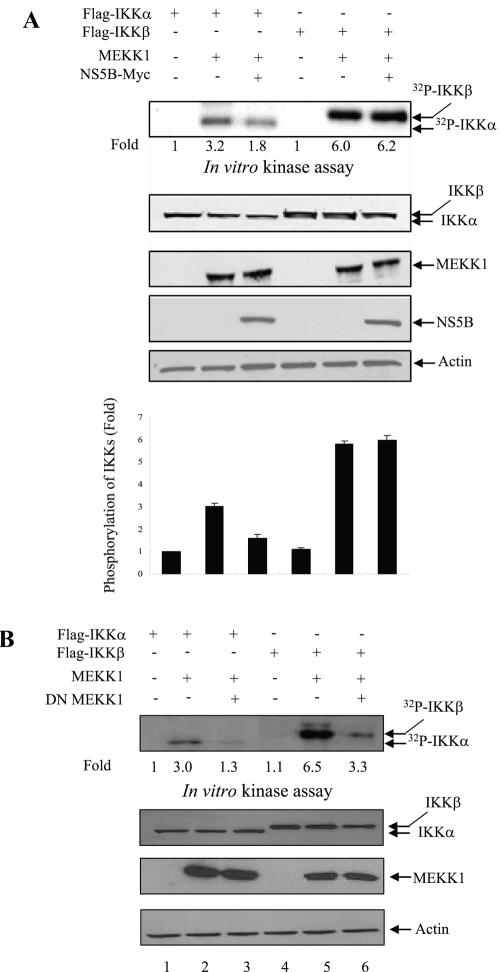 FIG.6.