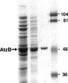 FIG. 2.