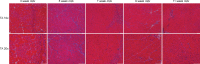 Fig 8