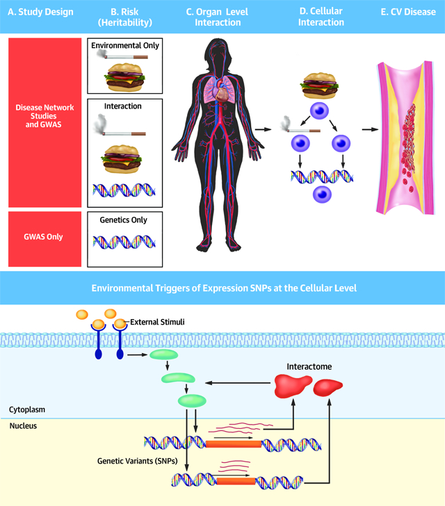 graphic file with name nihms-1529825-f0001.jpg