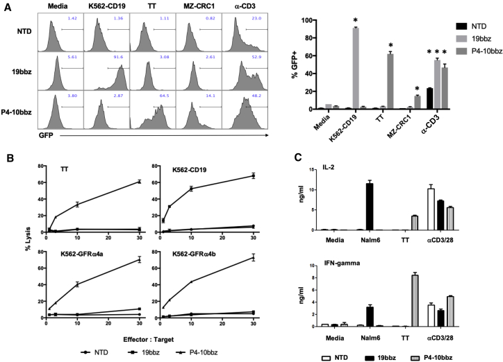 Figure 3