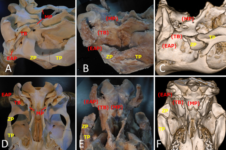 Fig. 3.